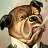 Picture of bigbadbossydawg Picture of bigbadbossydawg